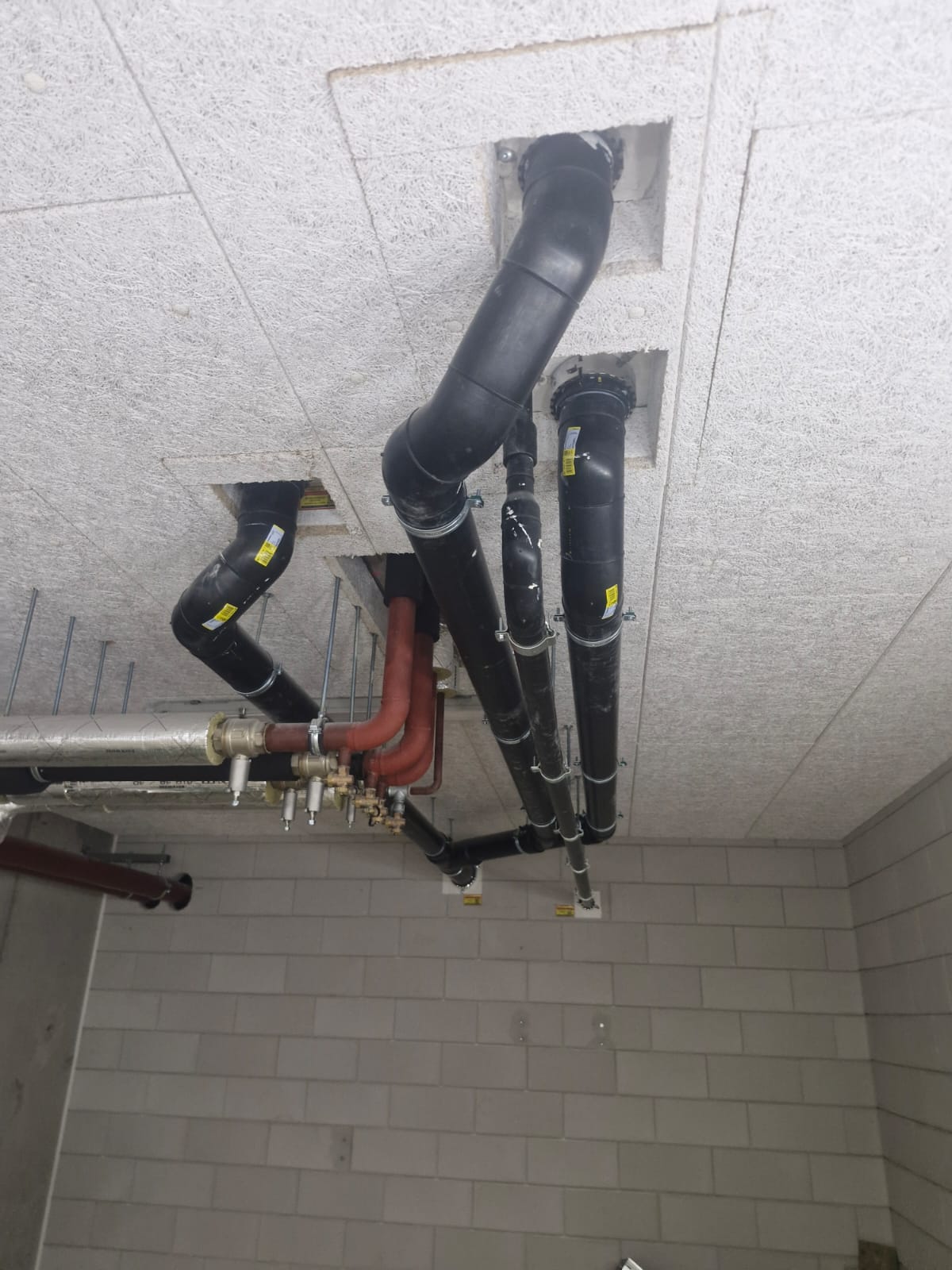 ZYSK Services project 6